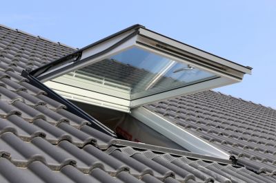 Avoid the Growth of Mold with Skylight Sealing!
